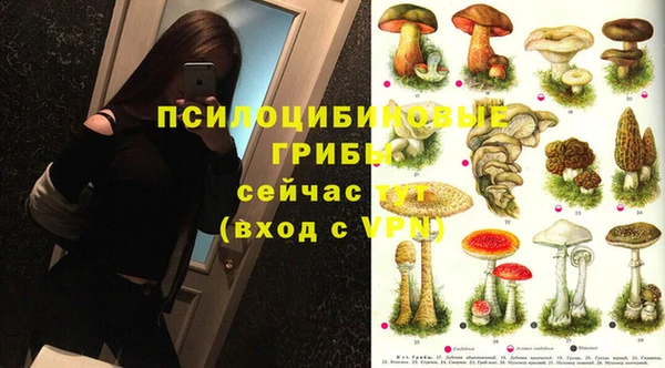 прущие крисы Балахна