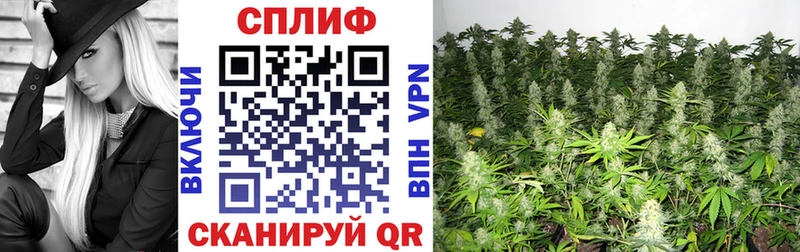 ссылка на мегу маркетплейс Лысьва Канабис гибрид